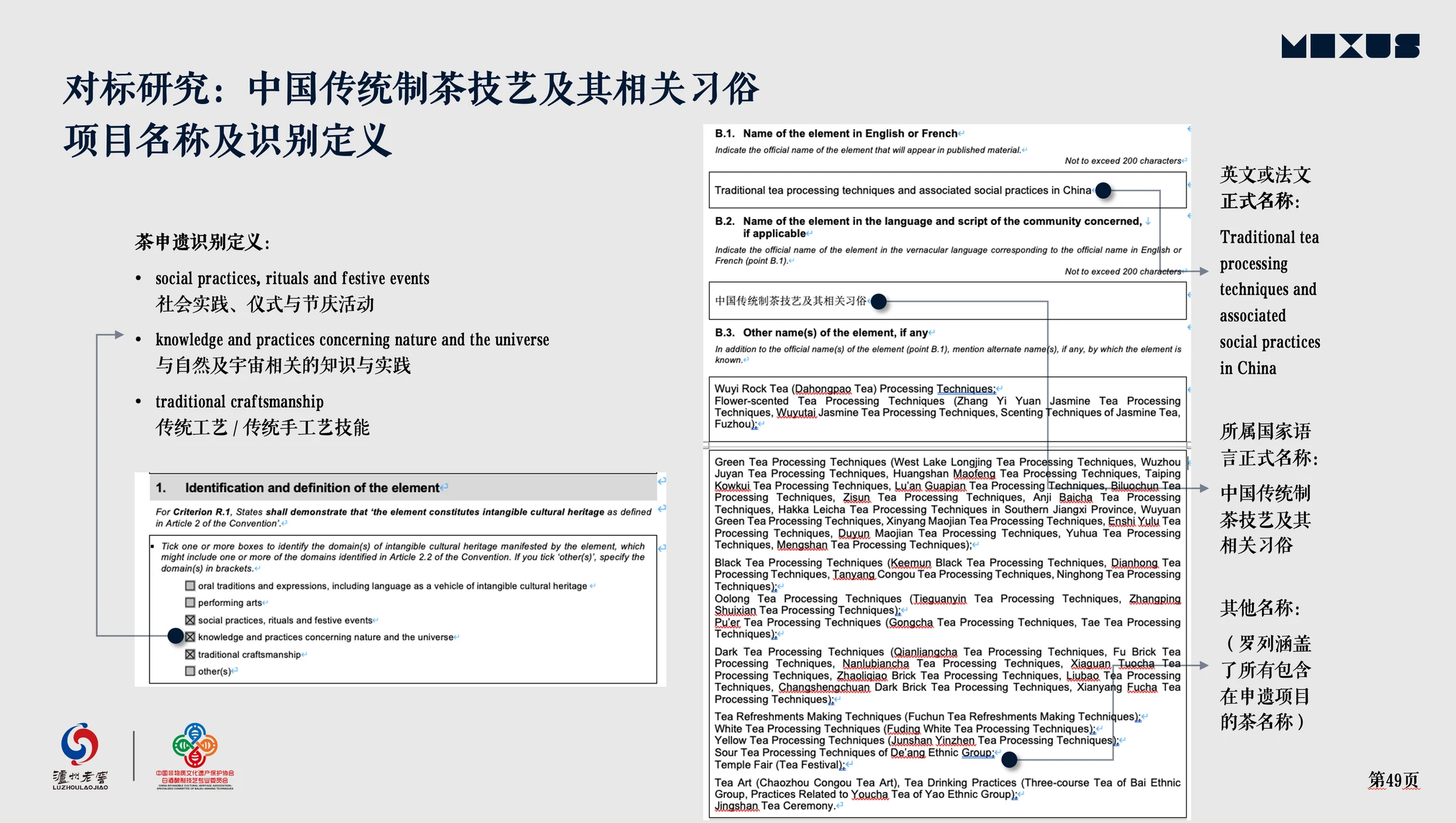 项目名称与识别定义