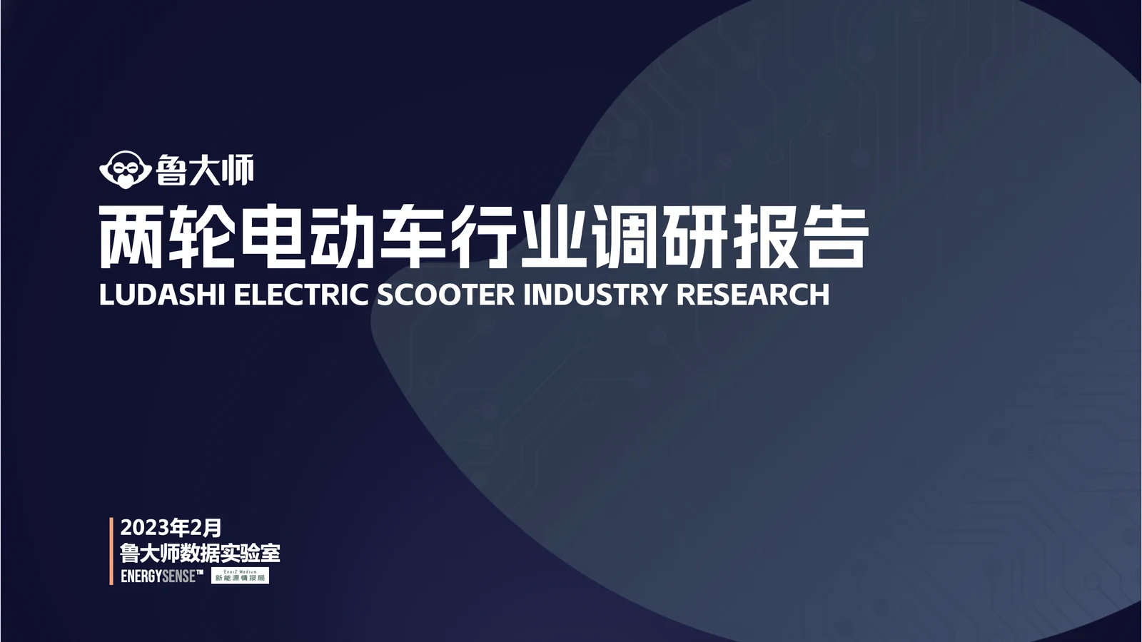 2022 两轮电动车行业调研报告，2023 年发布