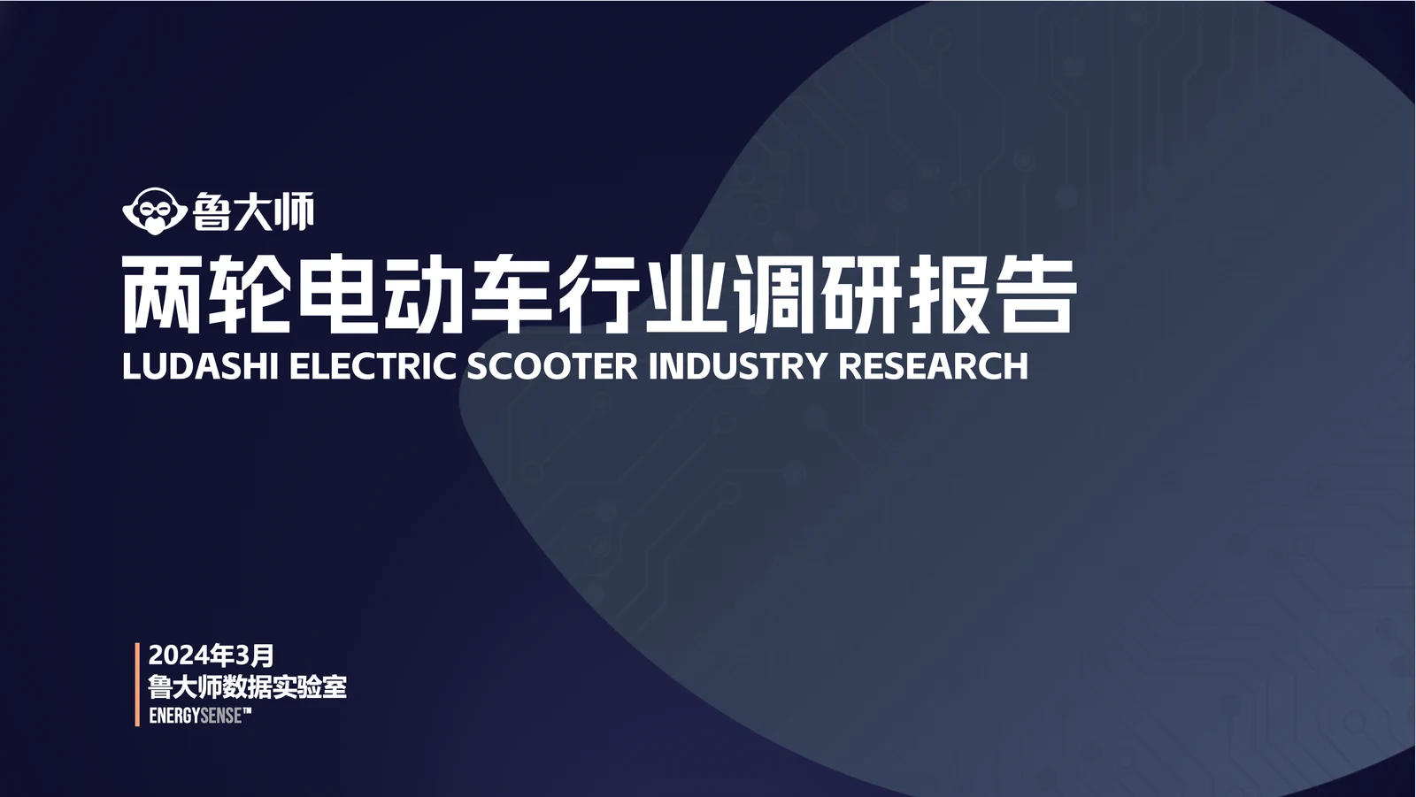 2023 两轮电动车行业调研报告，2024 年发布